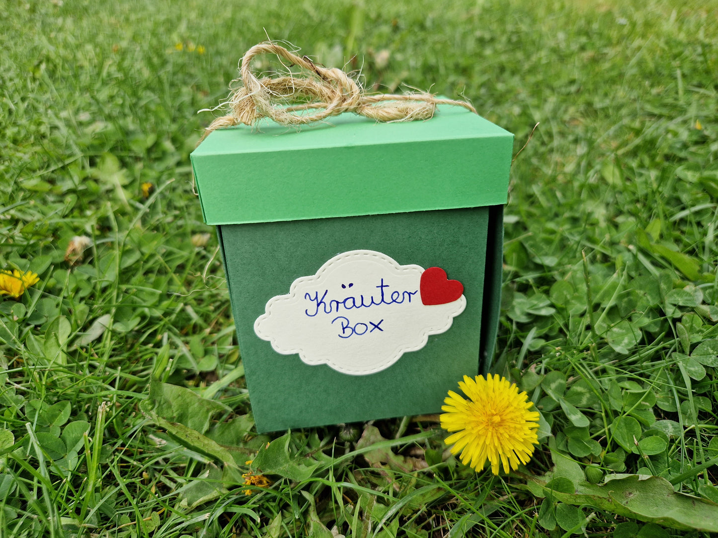 Bianca's Kräuergarten