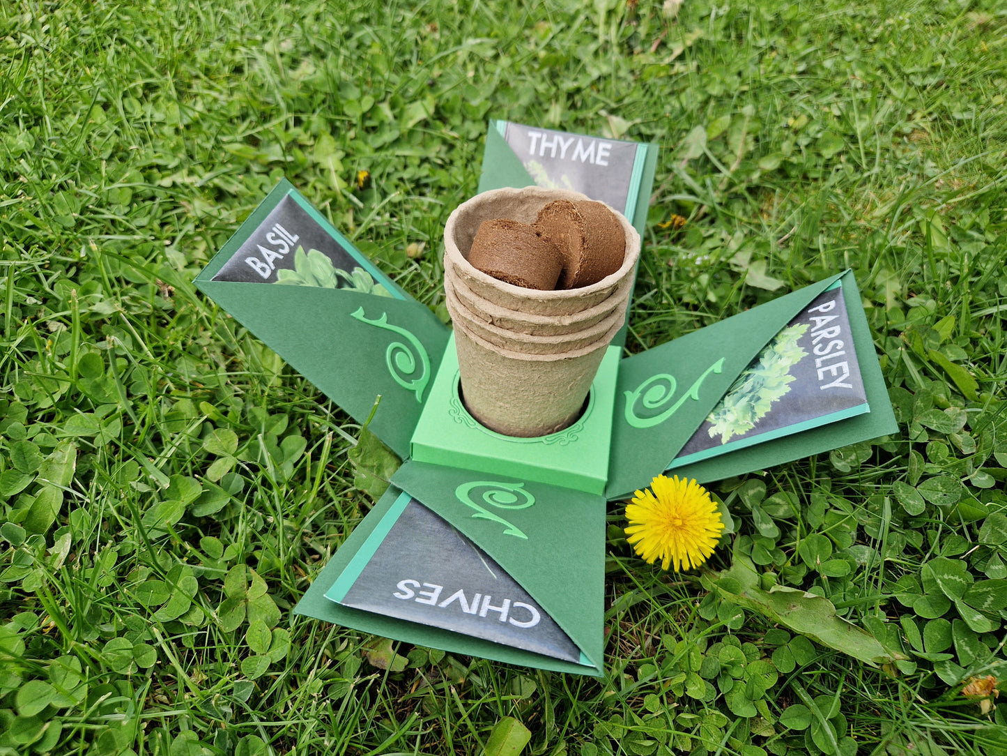 Bianca's Kräuergarten